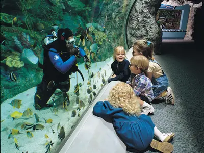 The Aquarium, stop in Bahamas — photo 3
