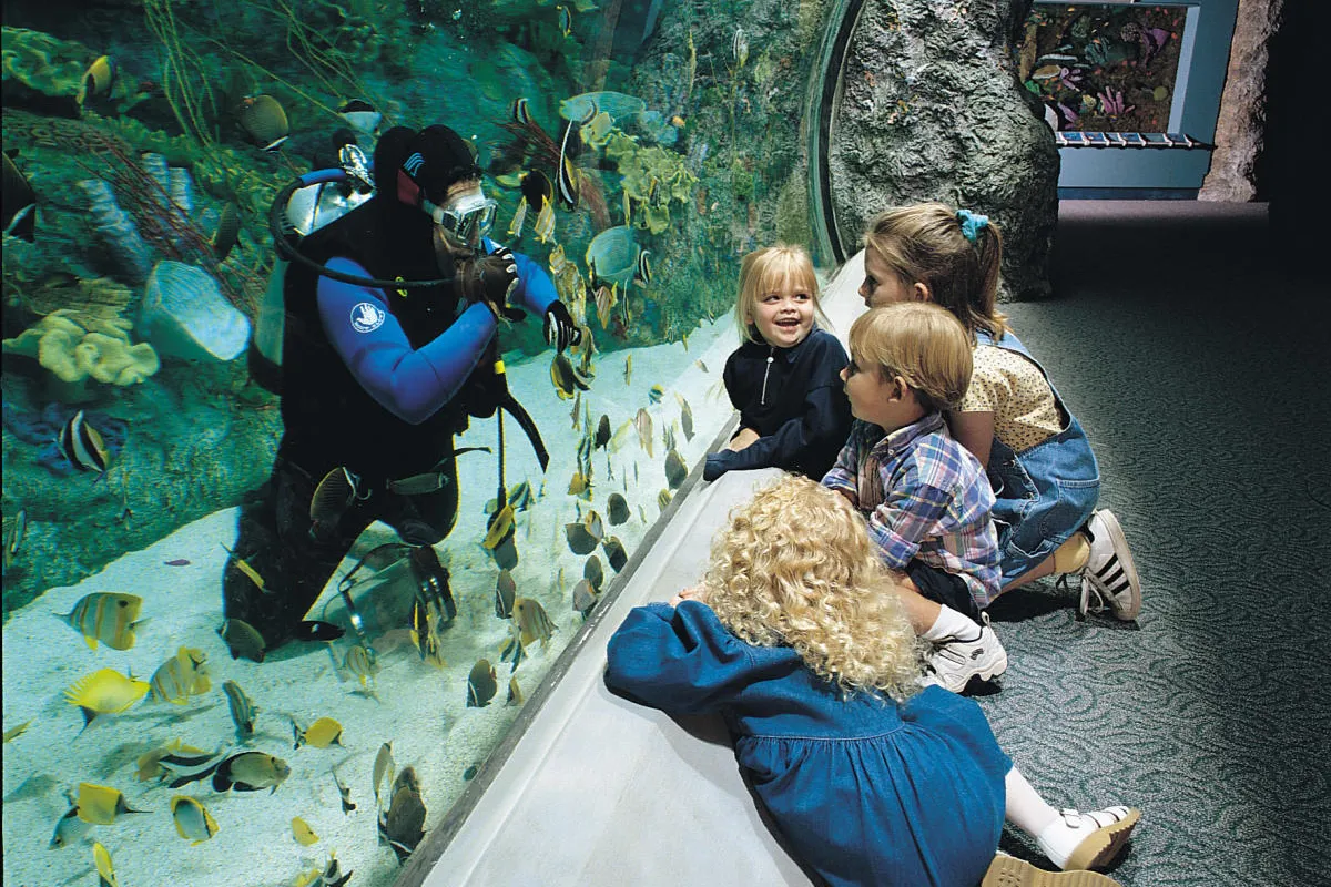 The Aquarium, stop in Bahamas — photo 3
