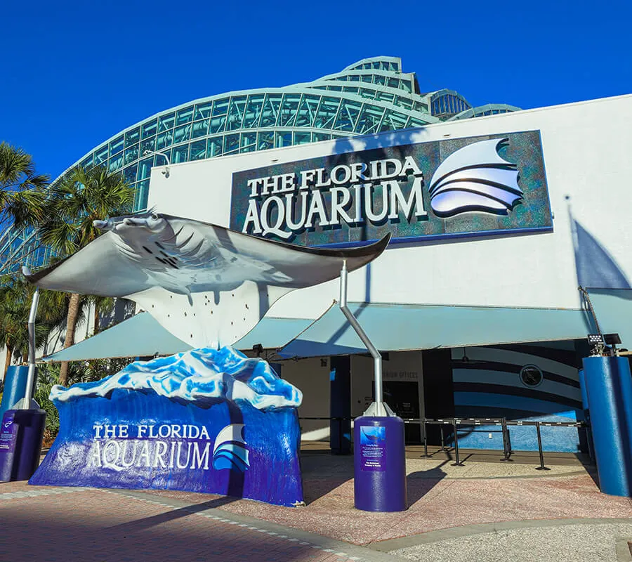 The Aquarium, stop in Bahamas — photo 9
