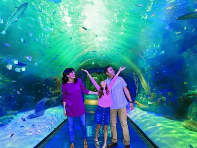 The Aquarium, stop in Bahamas — photo 4