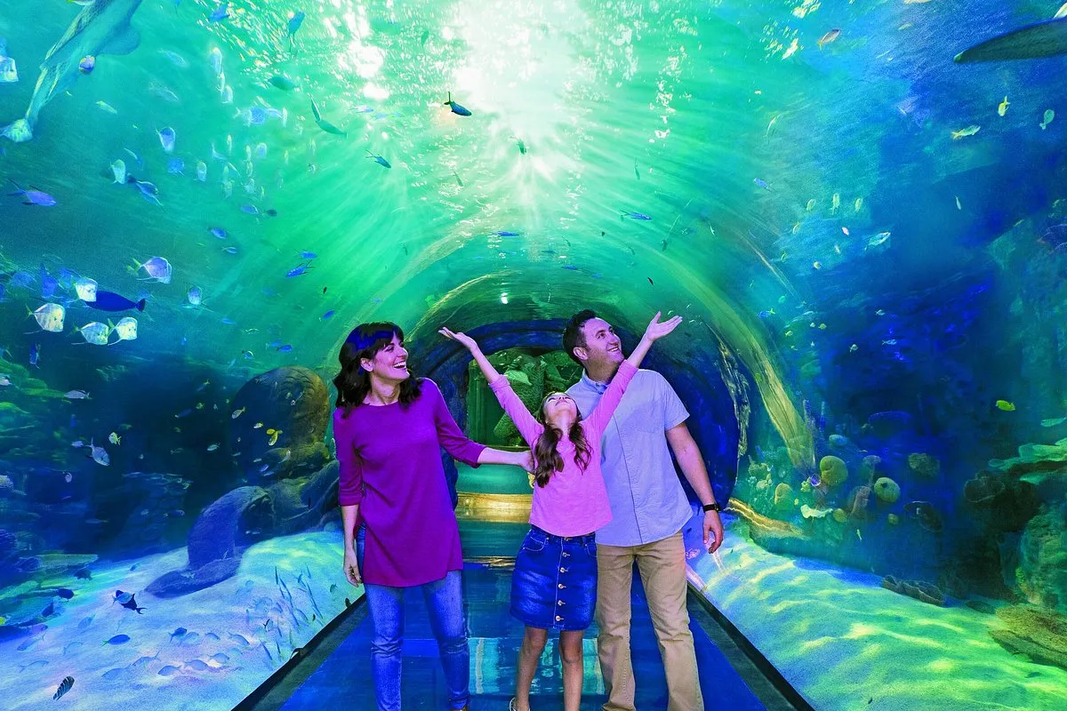 The Aquarium, stop in Bahamas — photo 4