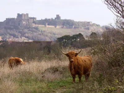 Coombe Down, stop in United Kingdom — photo 3