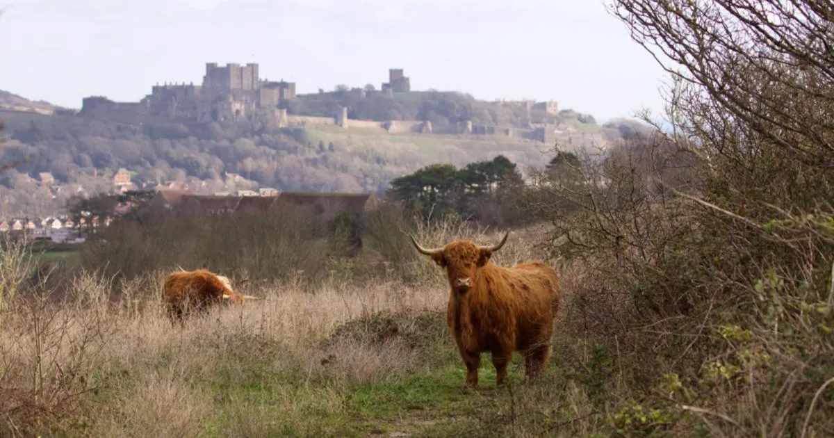 Coombe Down, stop in United Kingdom — photo 3