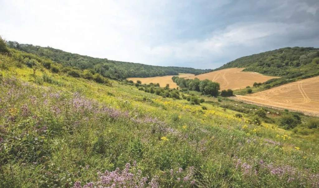 Coombe Down, stop in United Kingdom — photo 6