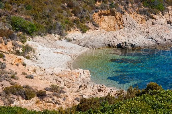 Anse de l'Oscelluccia, anchorage in Calvi, France — photo 3