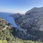 Anse du Renard
