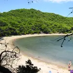 Uvala Saplunara