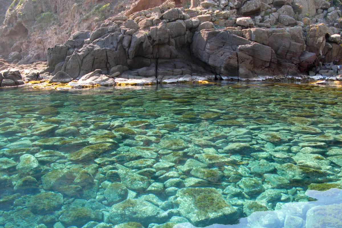 Cala del Ceppo, anchorage in France — photo 2