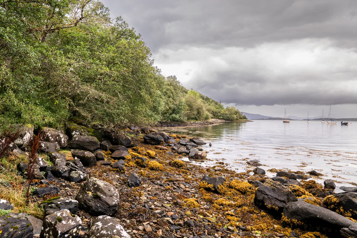 Crinan, stop in United Kingdom — photo 7