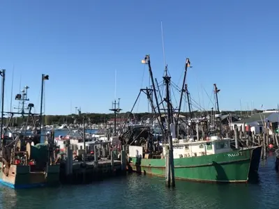 Montauk Harbor, harbour in Town of East Hampton, United States — photo 3