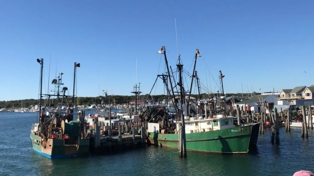 Montauk Harbor, harbour in Town of East Hampton, United States — photo 3