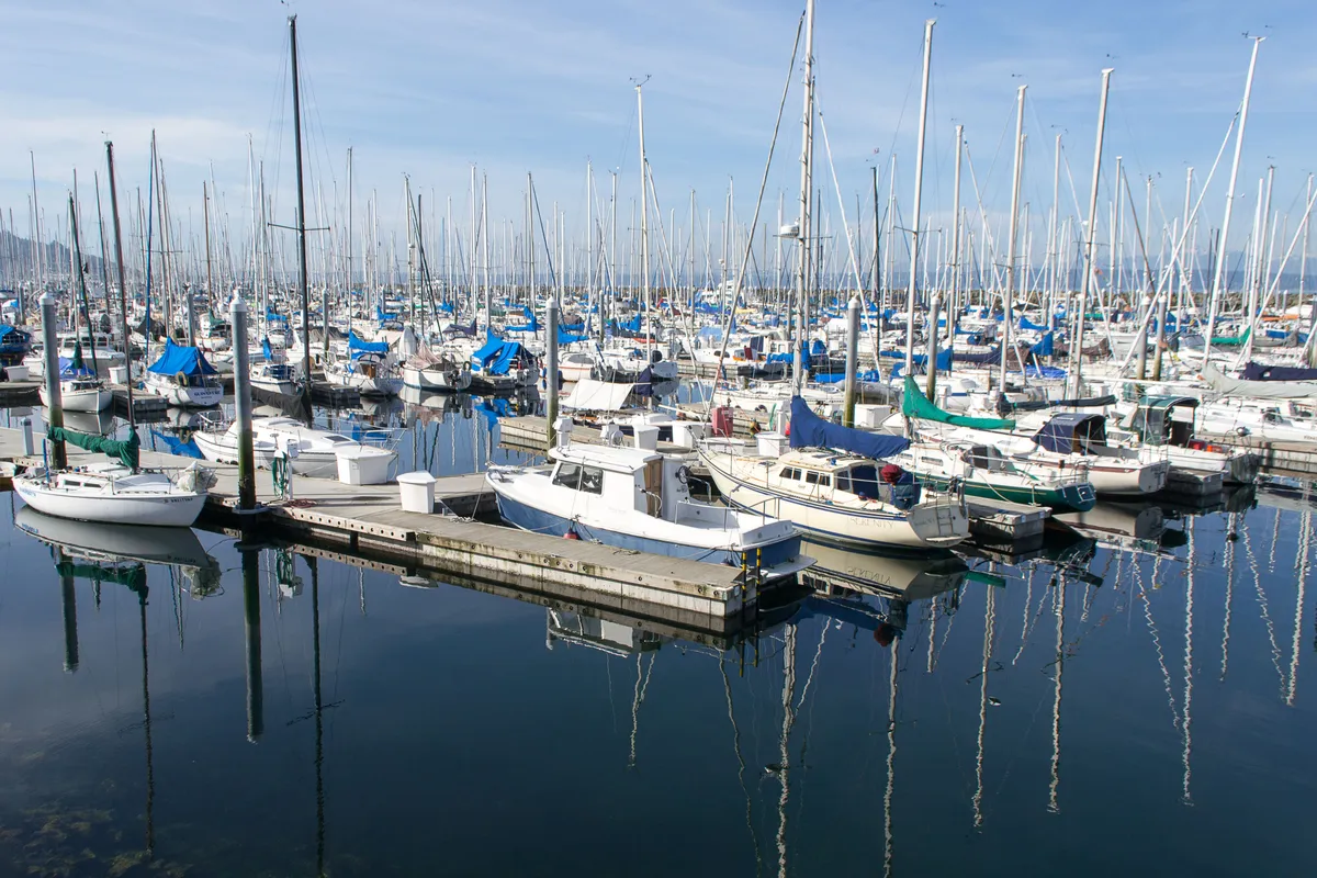 Shilshole Bay Marina in Seattle, United States — photo 2