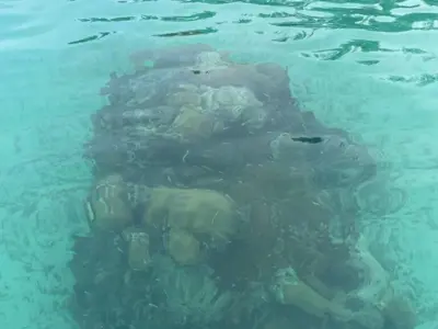 Meeks Patch Island Anchorage in North Eleuthera, Bahamas — photo 4