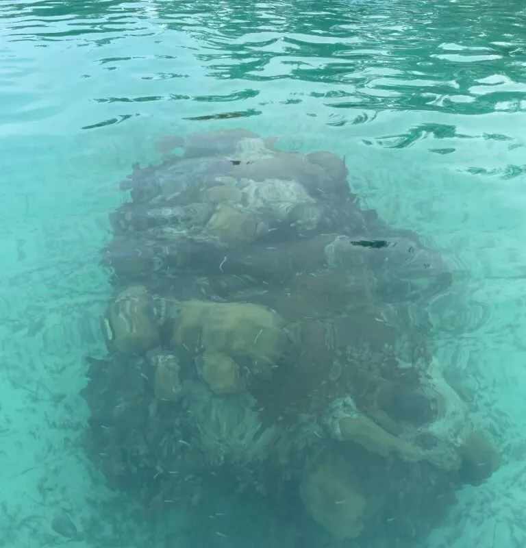 Meeks Patch Island Anchorage in North Eleuthera, Bahamas — photo 4