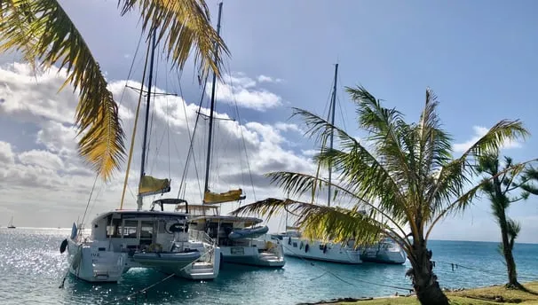 Apooiti Marina in Uturoa, France — photo 2