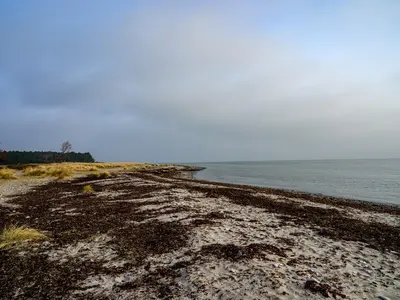 Skansehage, stop in Denmark — photo 3