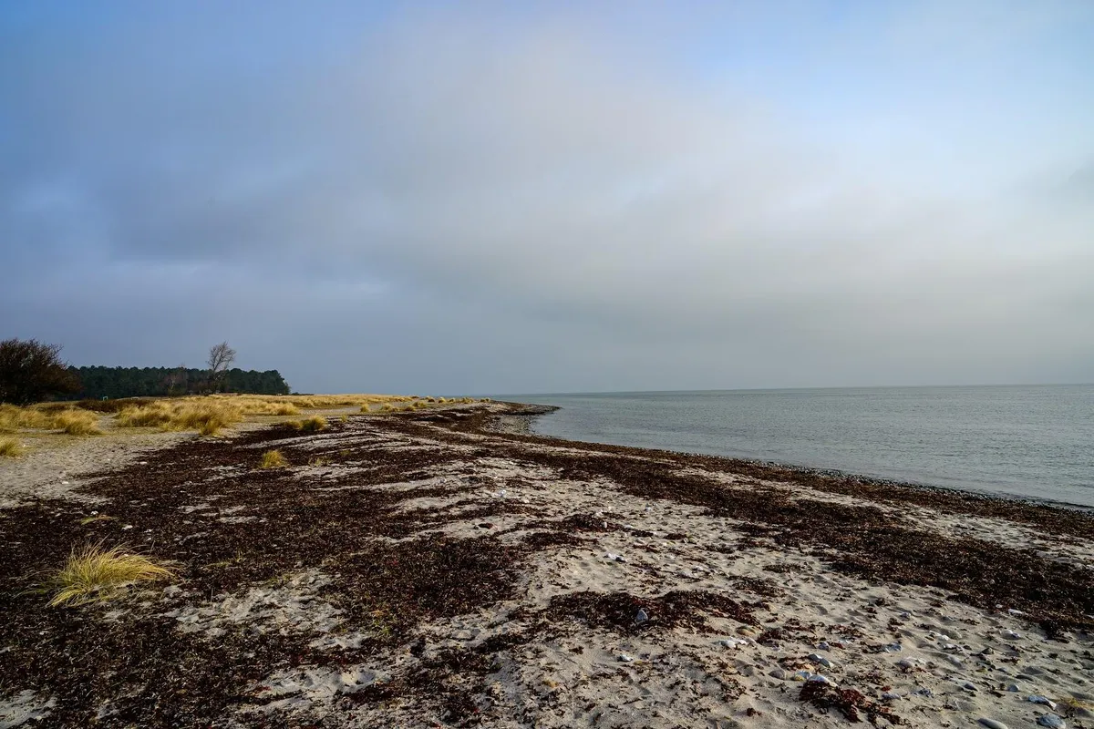 Skansehage, stop in Denmark — photo 3