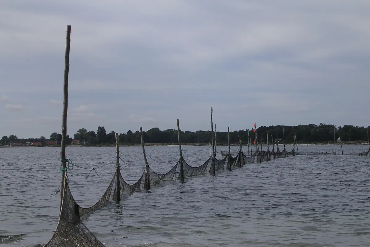 Skansehage, stop in Denmark — photo 5