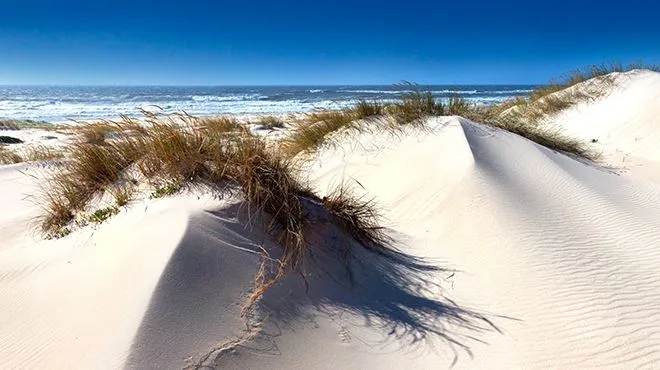 São Jacinto, stop in Portugal