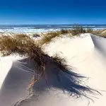 São Jacinto
