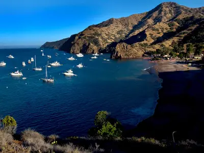 White Cove, stop in United States — photo 3