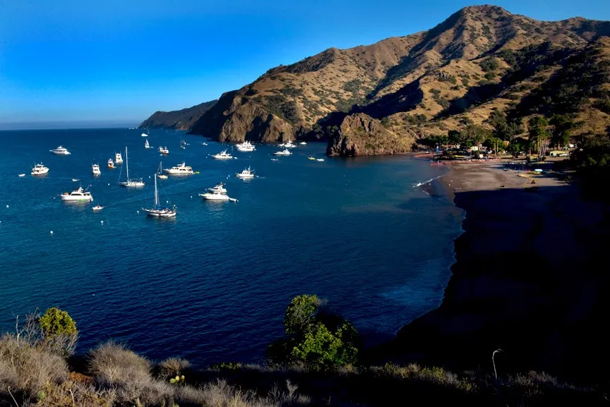 White Cove, stop in United States — photo 3