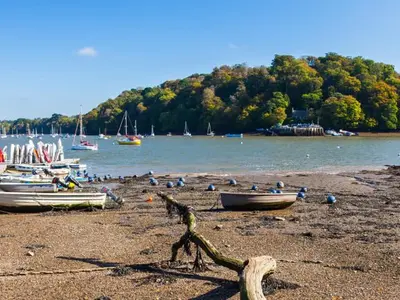 Dittisham, stop in South Hams, United Kingdom — photo 5