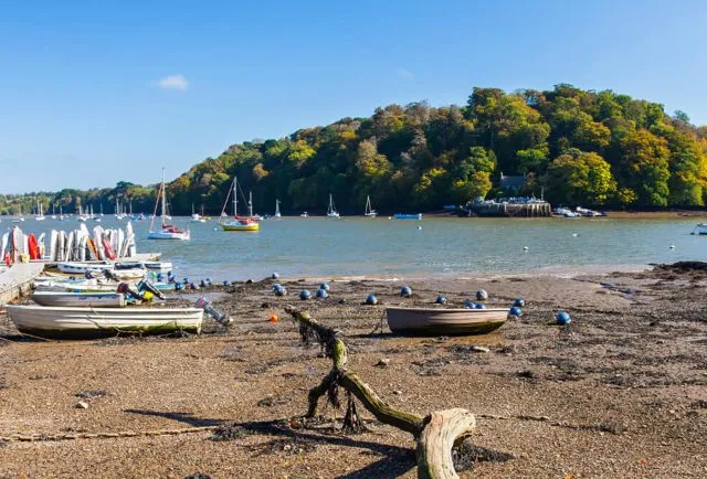Dittisham, stop in South Hams, United Kingdom — photo 5