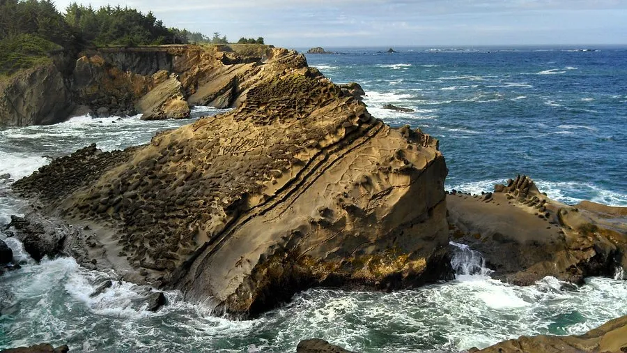 Shore Acres, stop in United States — photo 7