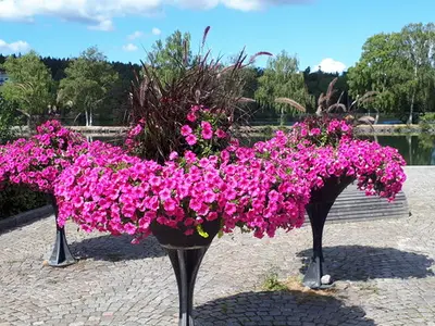 Kanaltorget, stop in Sweden — photo 3
