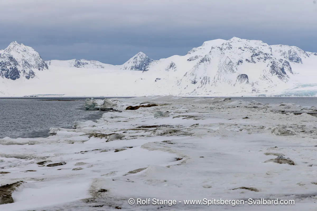 Selvågen, stop in Norway — photo 4