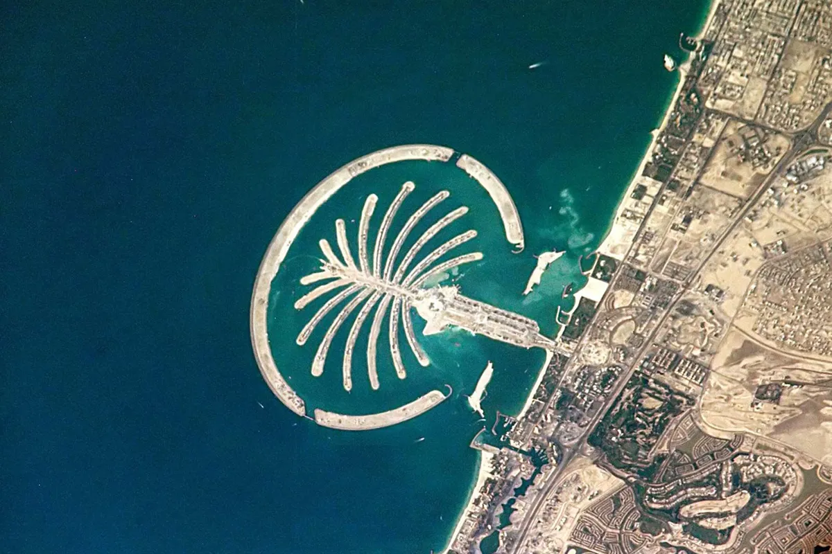 Palm Tree Island, stop in United States — photo 7