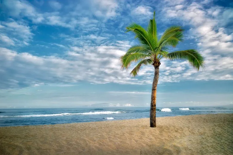 Palm Tree Island, stop in United States — photo 6
