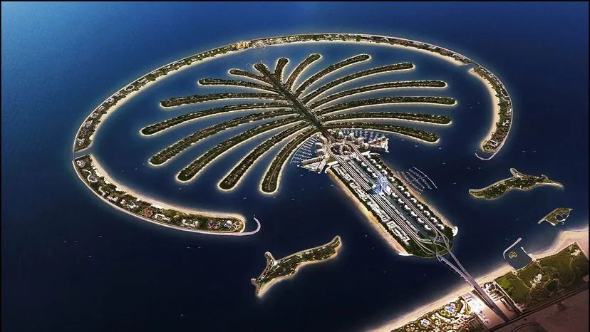 Palm Tree Island, stop in United States — photo 3
