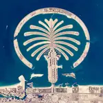 Palm Tree Island