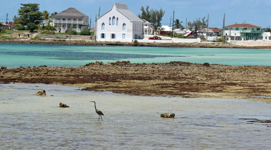 Cupid's Cay, stop in Bahamas — photo 4