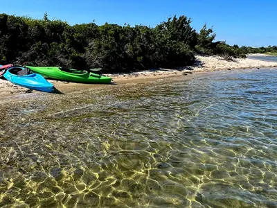 Tisbury Town Beach, stop in United States — photo 3