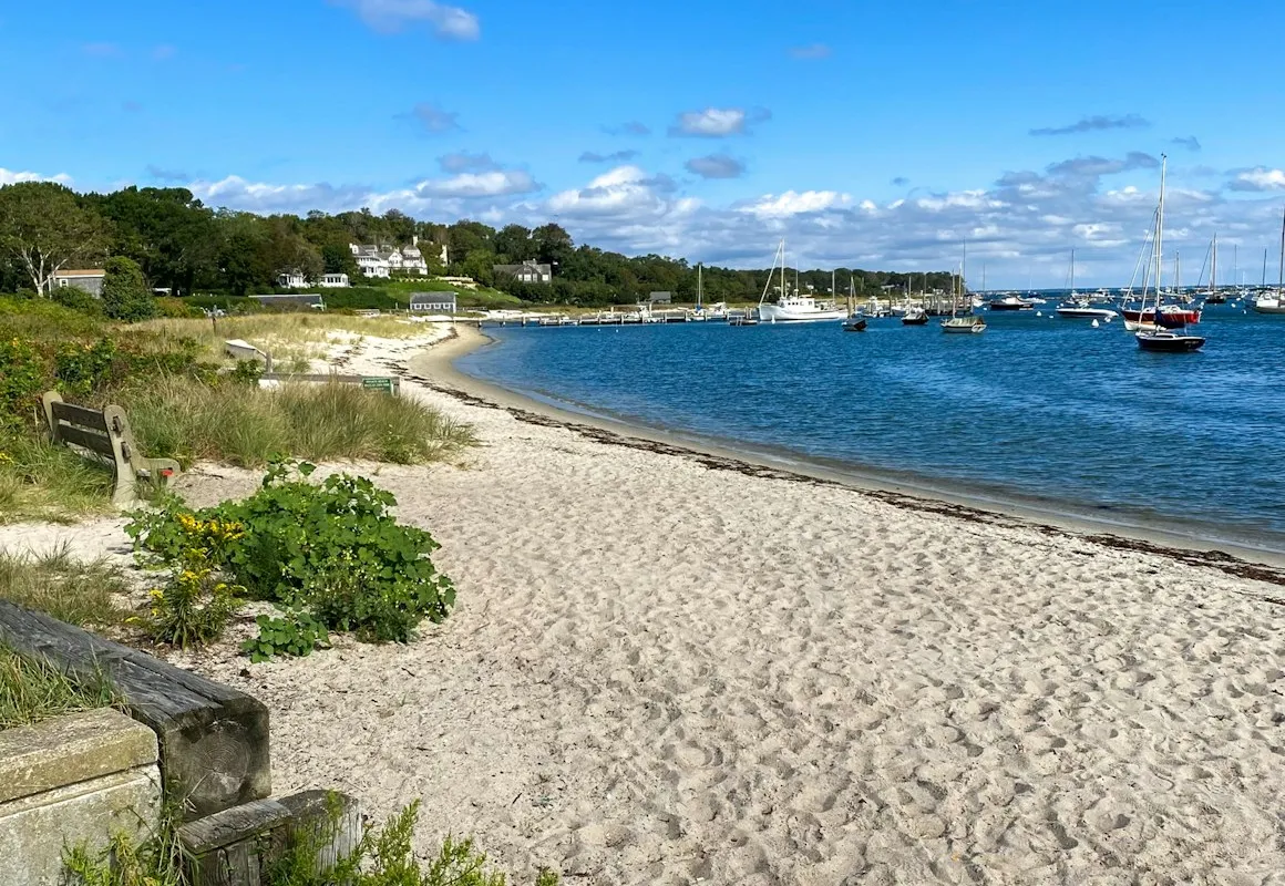 Tisbury Town Beach, stop in United States — photo 4