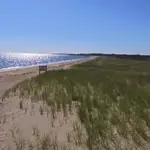 Tisbury Town Beach