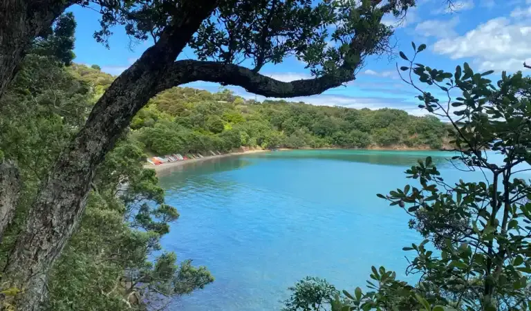 Oneroa Bay, anchorage in Waiheke, New Zealand — photo 6