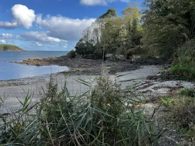 Penarvon Cove, stop in Flushing, United Kingdom — photo 2