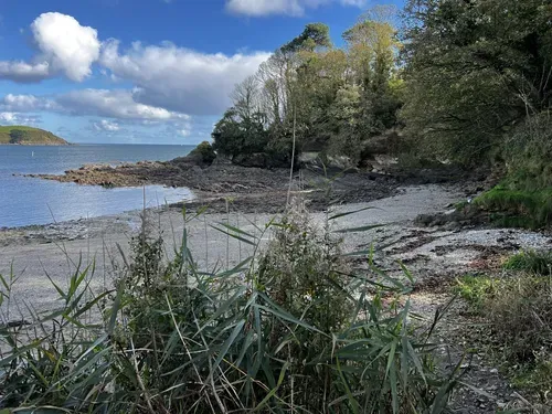 Penarvon Cove, stop in Flushing, United Kingdom — photo 2