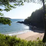 Bosahan Cove