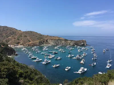 Cherry Cove, stop in United States — photo 4