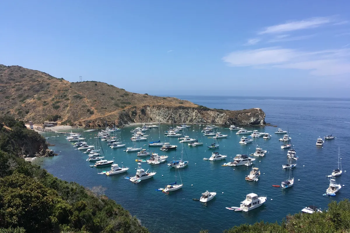 Cherry Cove, stop in United States — photo 4