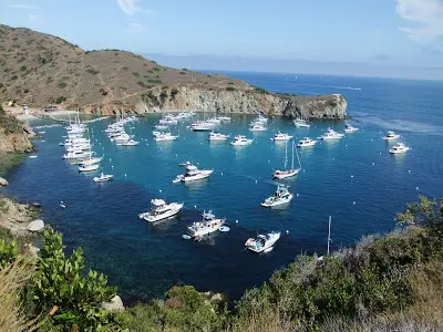 Cherry Cove