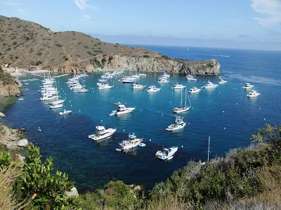 Cherry Cove, stop in United States