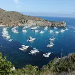 Cherry Cove