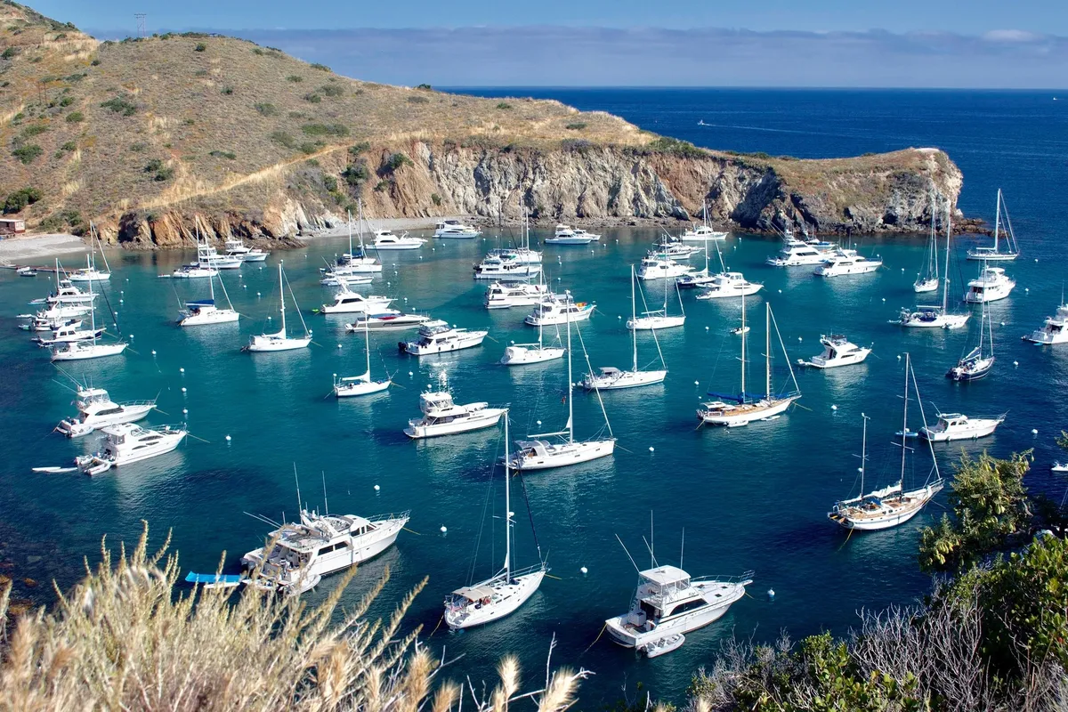 Cherry Cove, stop in United States — photo 7