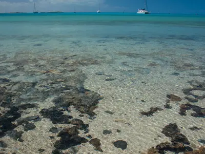 Salt Pond Anchorage